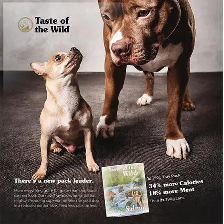 Taste of the Wild Salmon Fruit Veg Wet Adult Dog Food 390g