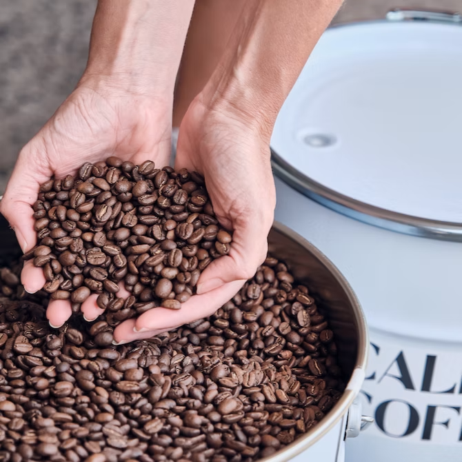 Caldera Nespresso Compatible Coffee 55g