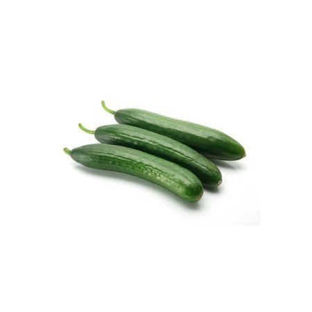 Certified Organic Cucumber Lebanese Per Kg