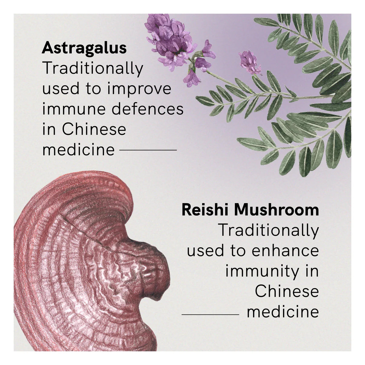 Fusion Health Astra 8 30 Tablets