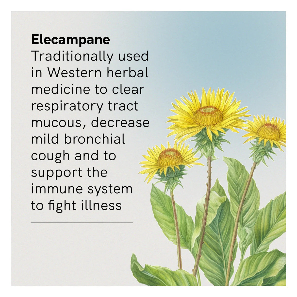 Fusion Health Cough Lung Tonic Liquid 100ml