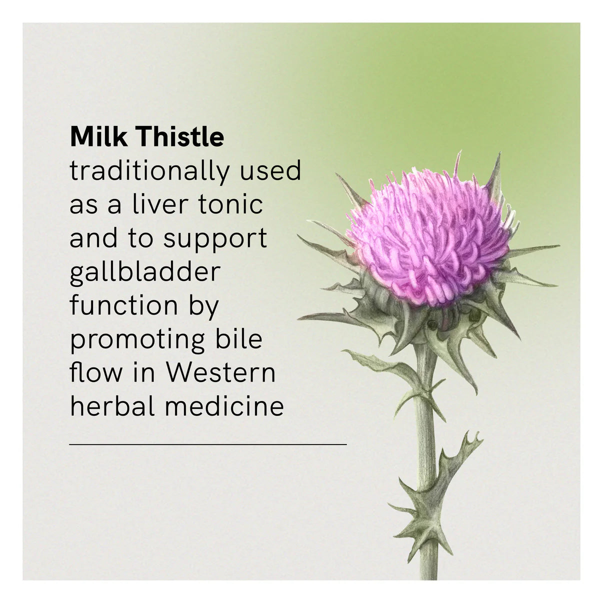 Fusion Health Liver Tonic 30 Tablets