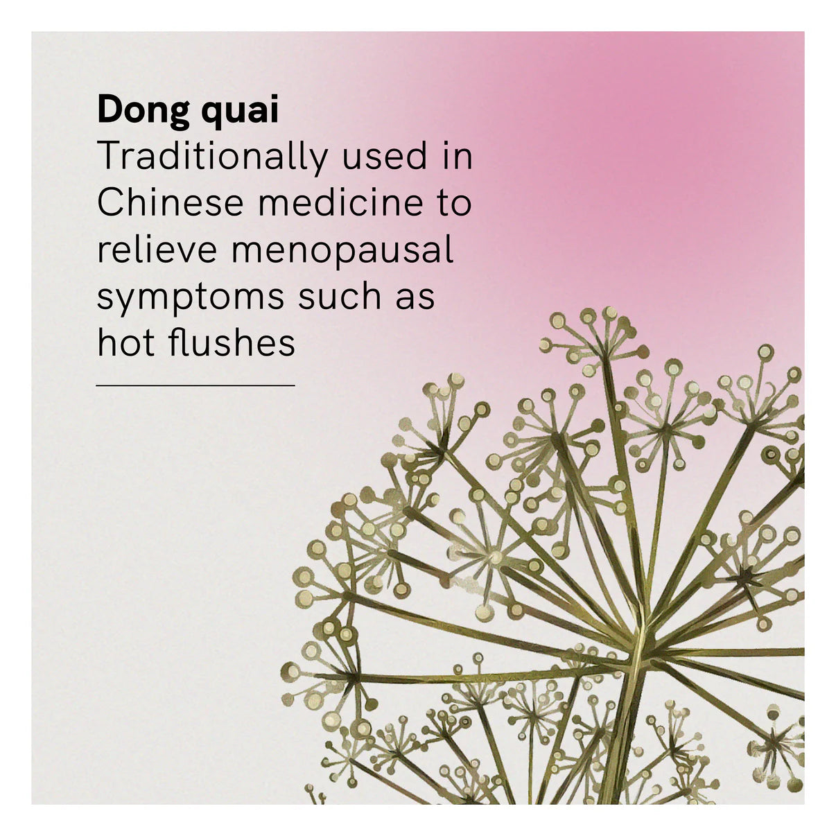 Fusion Health Menopause Heat Relief 60 Veg Capsules