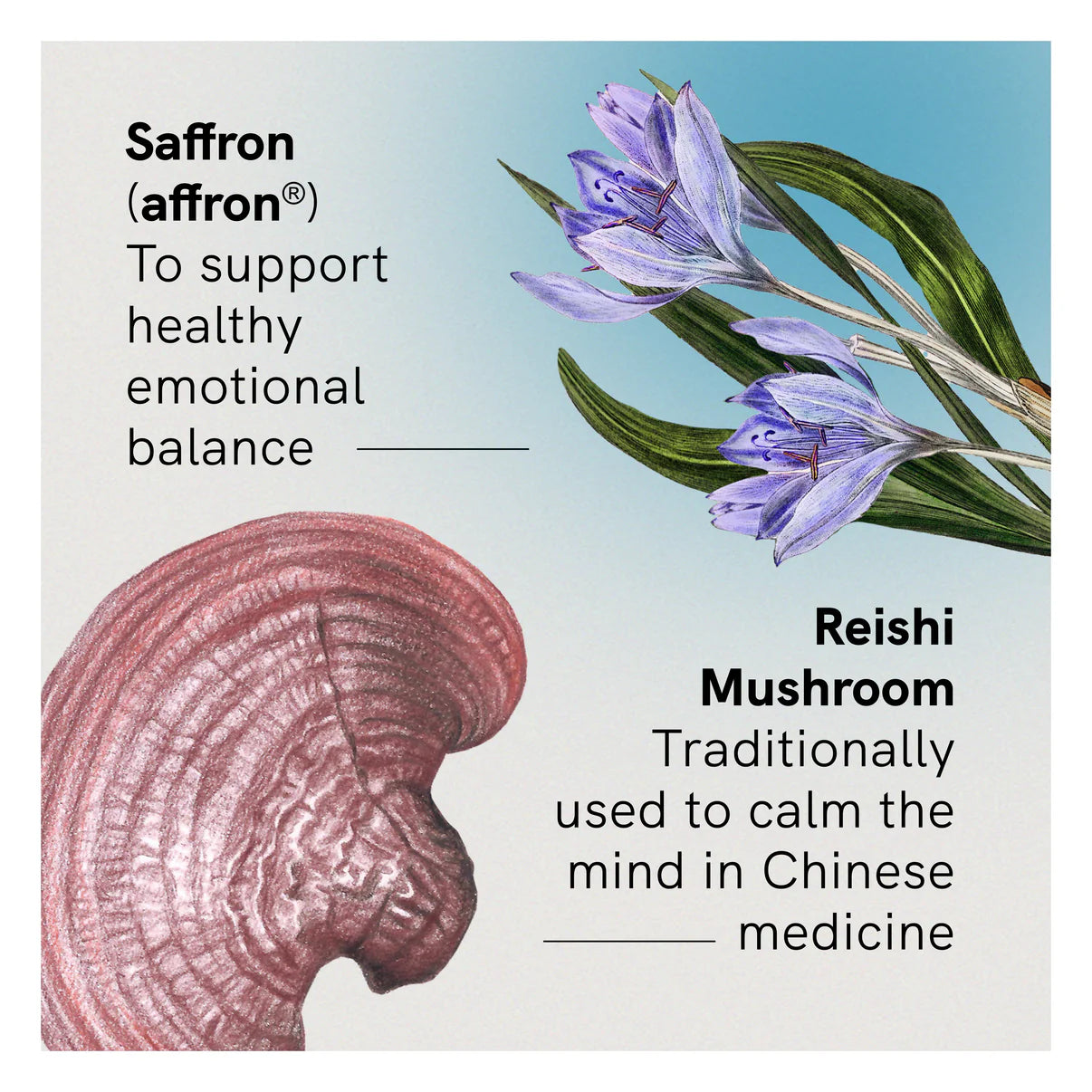 Fusion Health Mood Support 60c