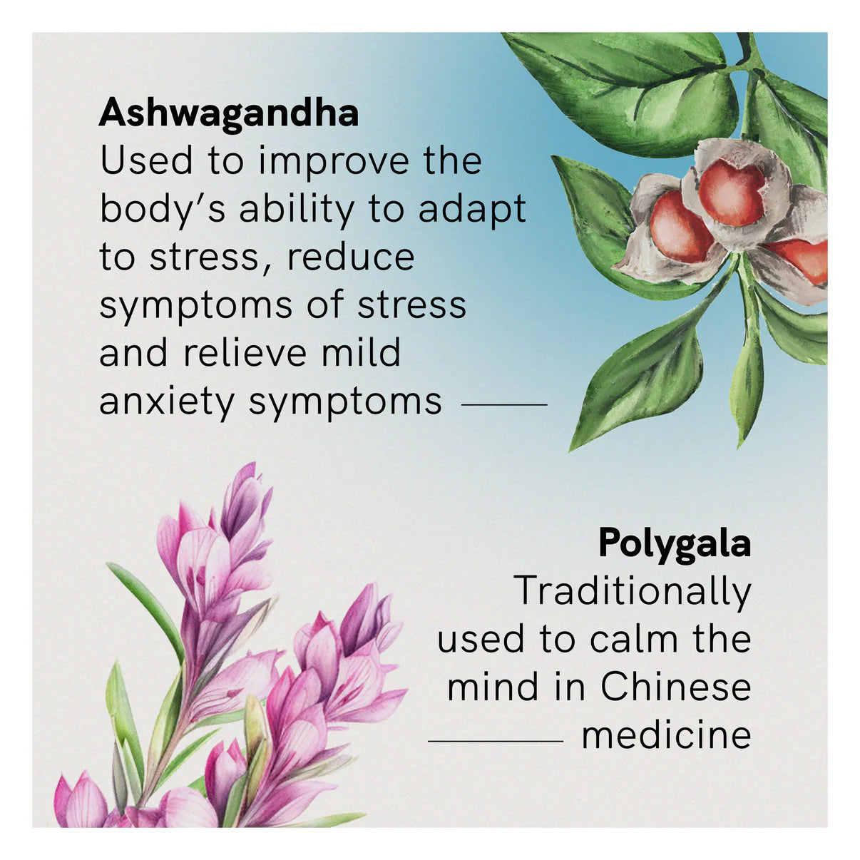 Fusion Health Stress Anxiety 30 Tablets