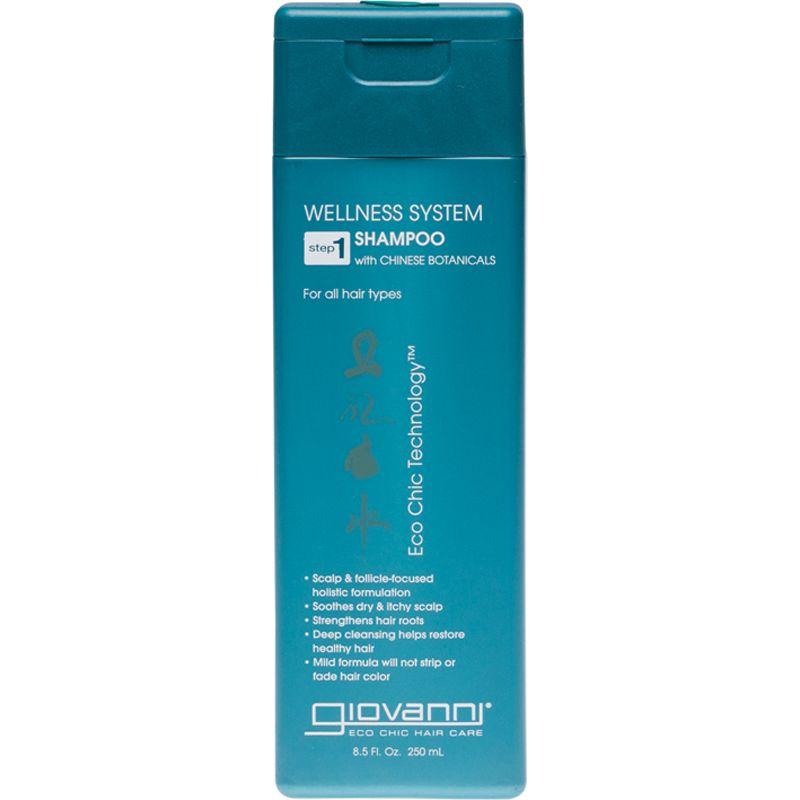 Giovanni Wellness System 250ml