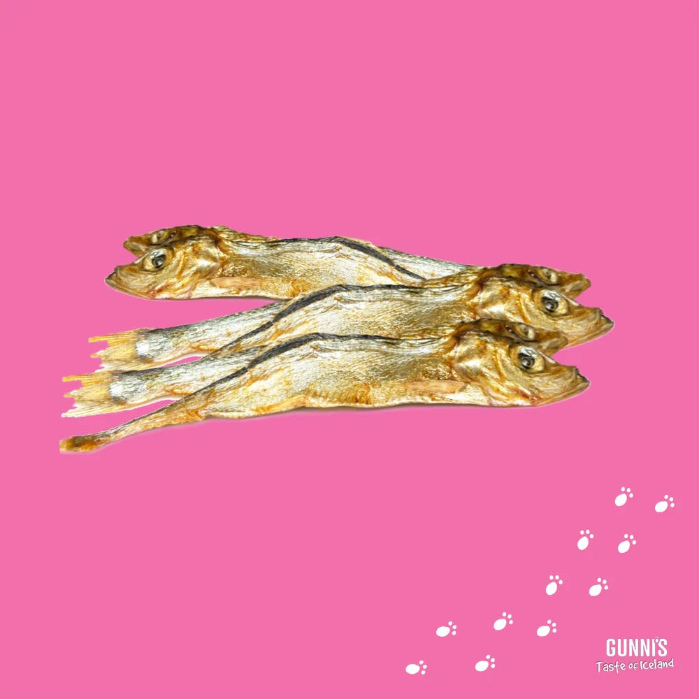 Gunni's Whole Herring Dog Treat 85g