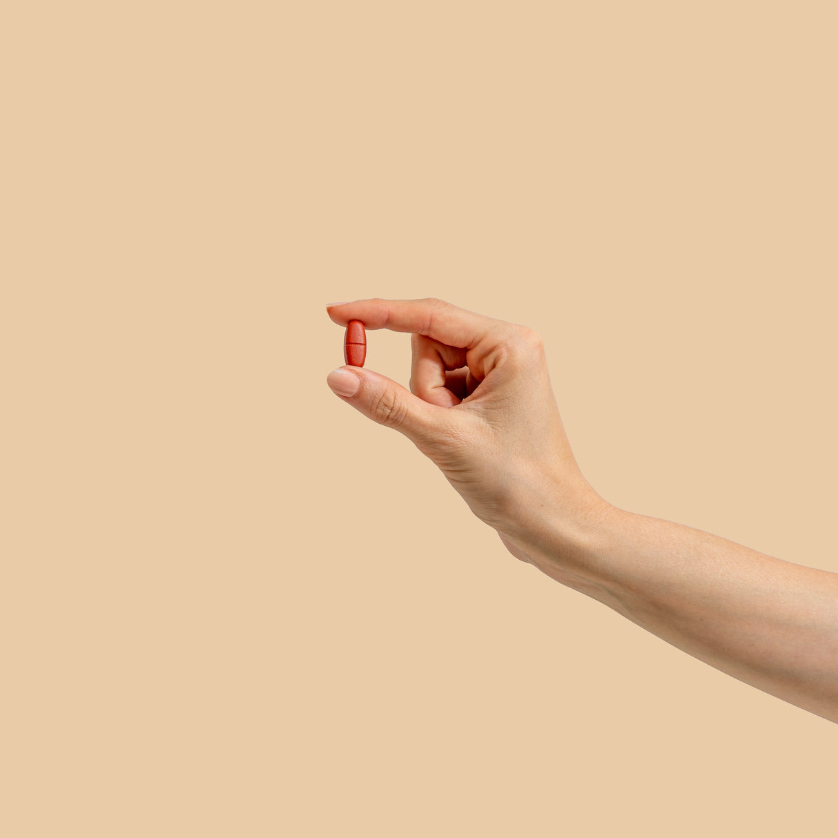 Herbs of Gold B Sustained Release 60t