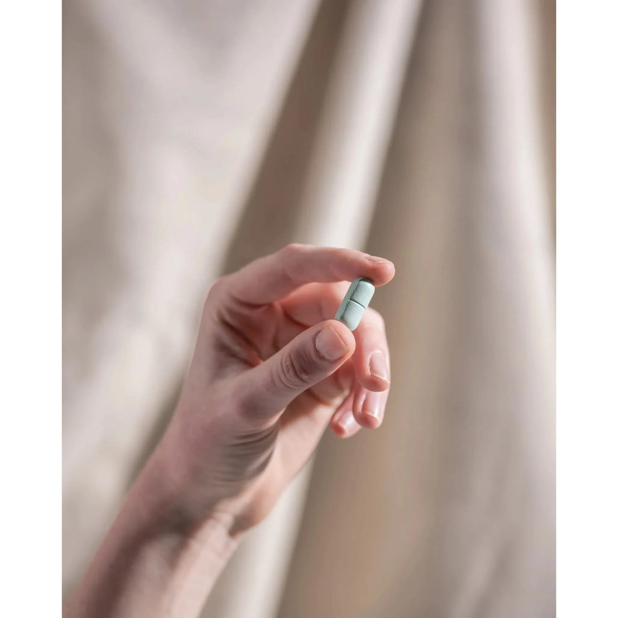 Herbs of Gold Lysine 1000 + Olive Leaf 100t