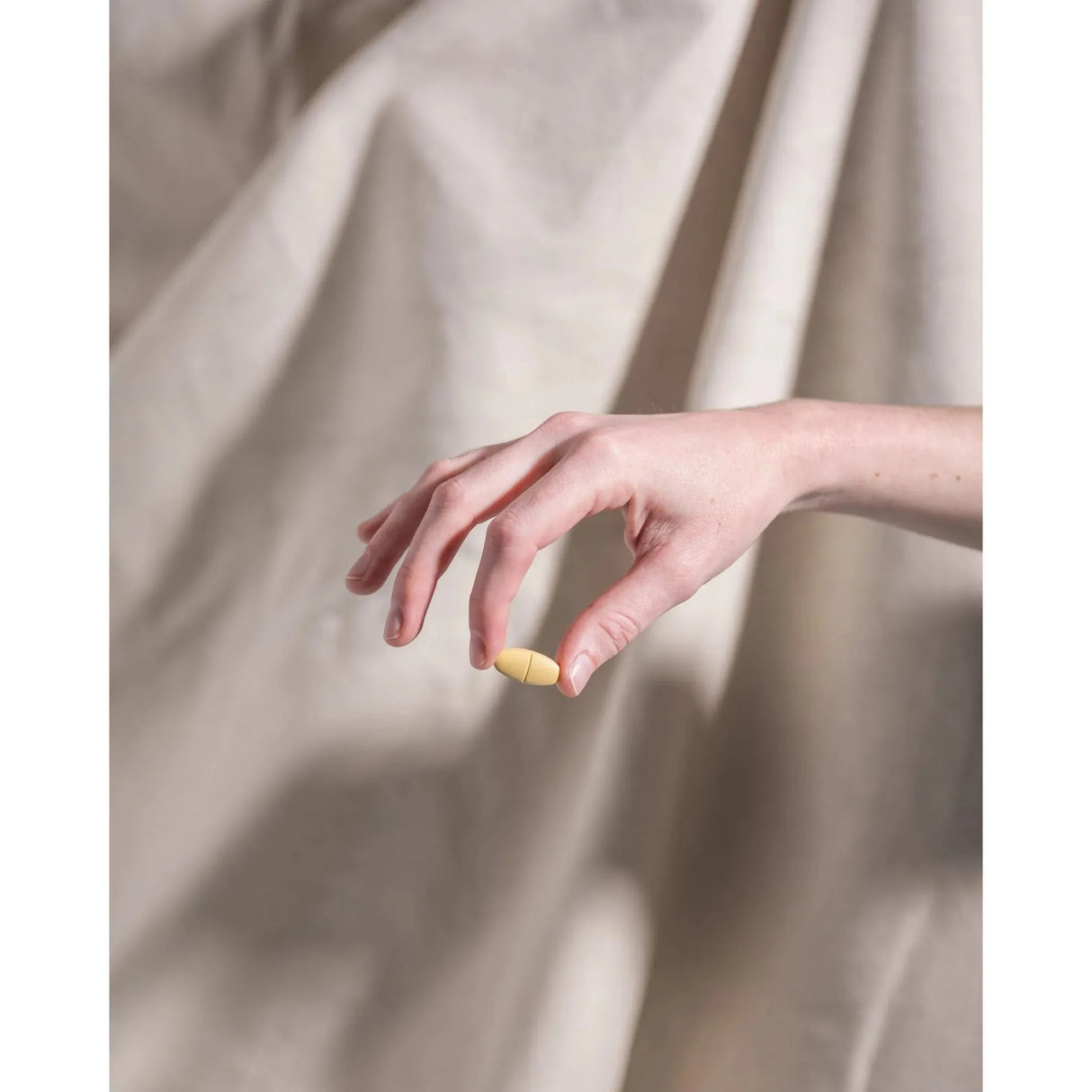 Herbs of Gold Vitamin C 1000 Plus Zinc 120t