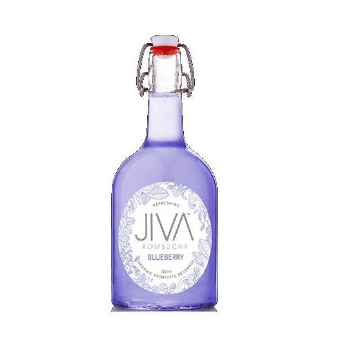 Jiva Kombucha Kombucha Blueberry 250m