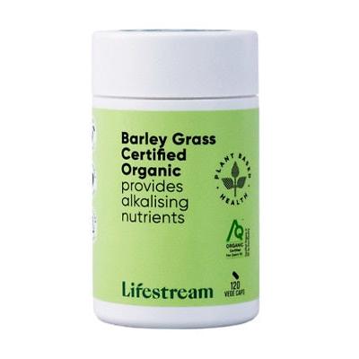 Lifestream Barley Grass 120v