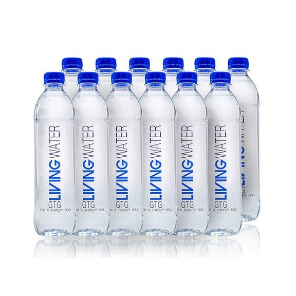 Living Water 12x500ml