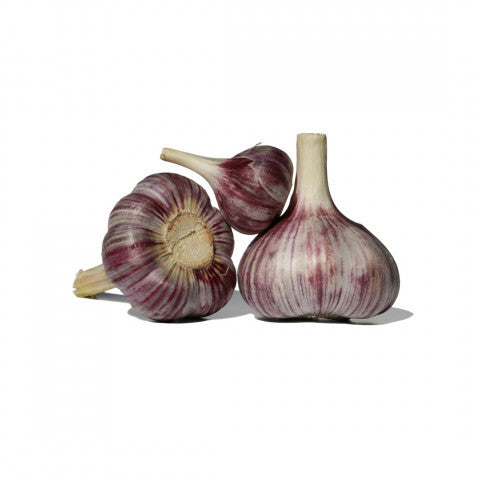 Organic Australian-Grown Italian garlic