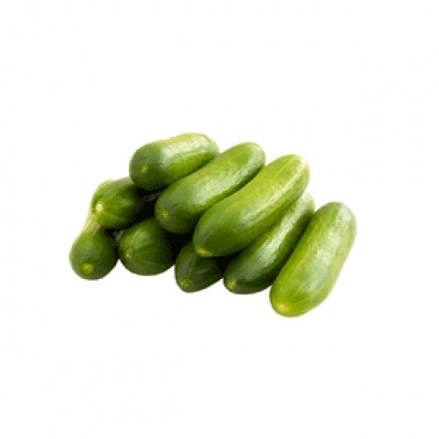 Organic Baby Cucumber Per Kg