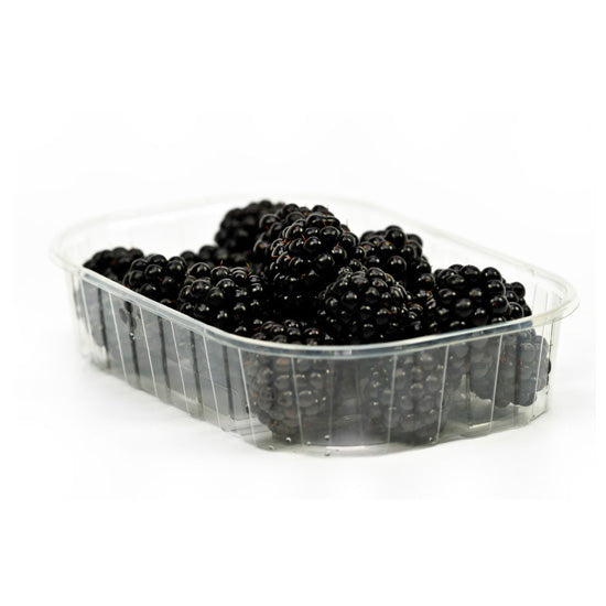 Organic Blackberries Punnet