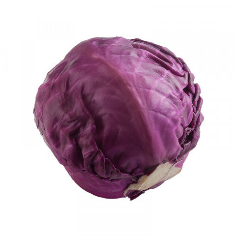 Organic Cabbage (Red) Each
