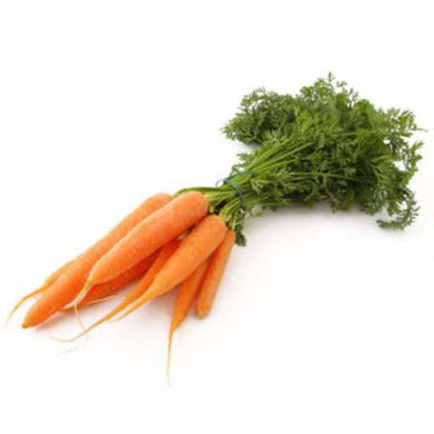 Organic Carrot (Dutch) Bunch