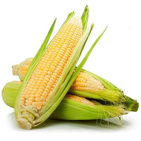 Organic Corn Cob Each