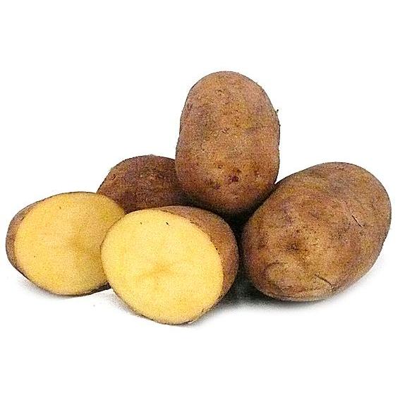 Organic Dutch Cream Potato Loose Per Kg