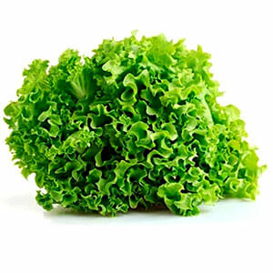 Organic Fancy Lettuce Each