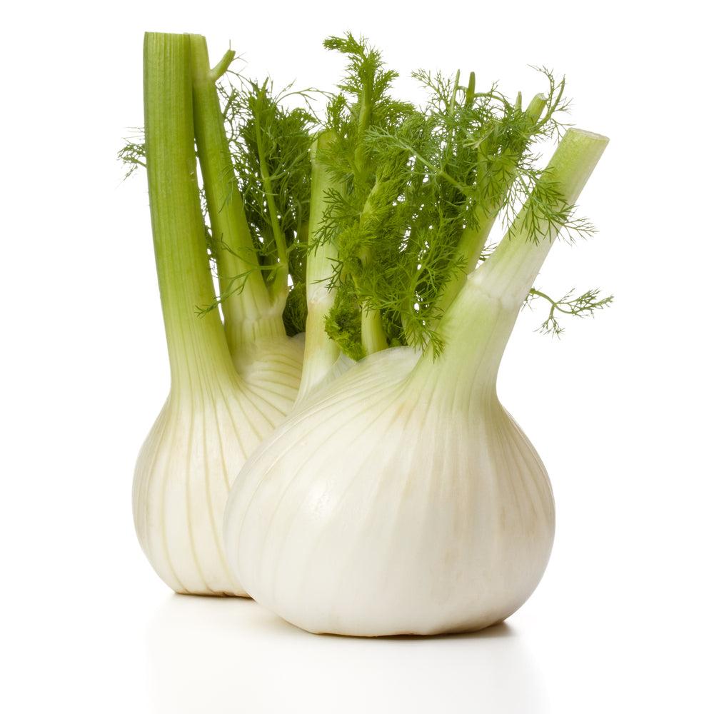 Organic Fennel Each