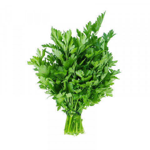 Organic Fresh Herb Parsley