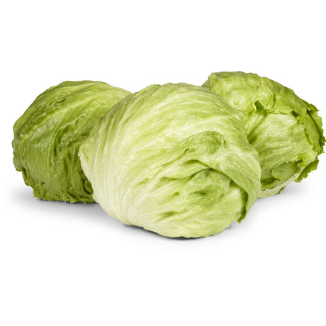 Organic Lettuce Iceberg Each