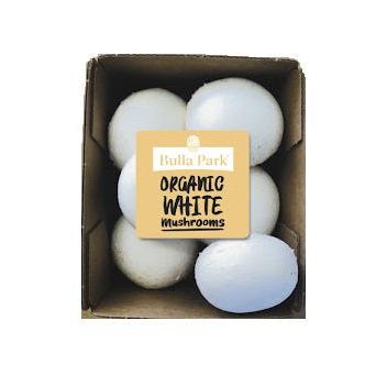 Organic Mushroom White Punnet Each