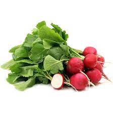 Organic Radish Bunch