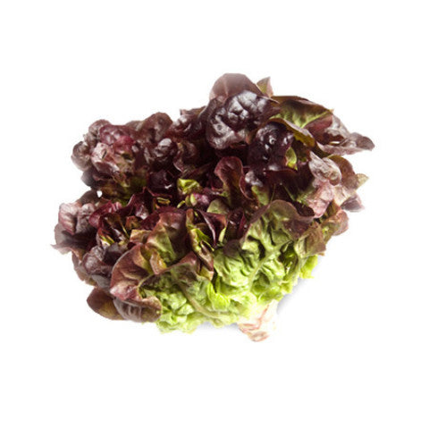 Organic Red Oak Lettuce Each
