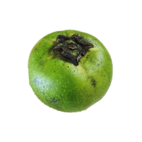 Organic Sapote Per Kg