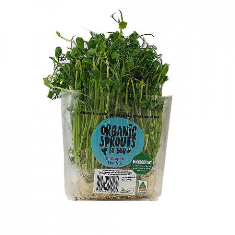 Organic Snow Pea Tendrils Sprouts Punnet