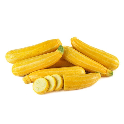 Organic Zucchini (Gold)