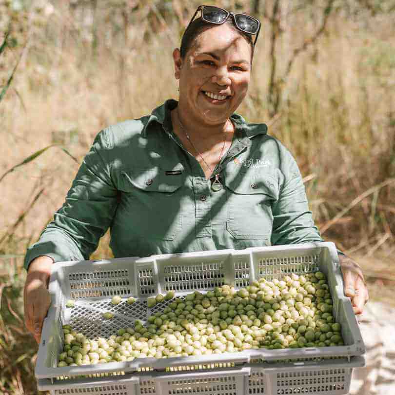 Roogenic Kakadu Plum (Gubinge) 30g