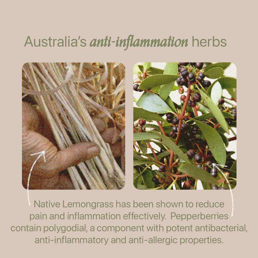 Roogenic Native Anti-Inflammation Tea 18tb