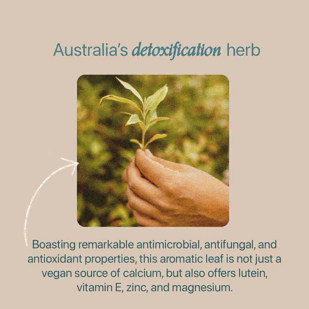 Roogenic Native Detox 65g