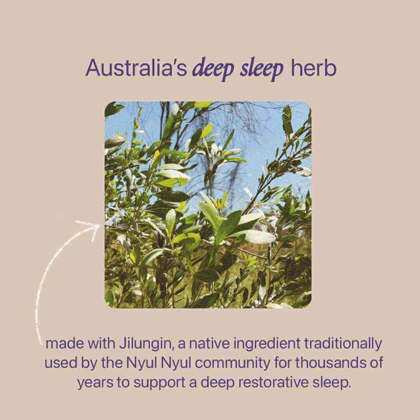 Roogenic Native Sleep Tea 65g