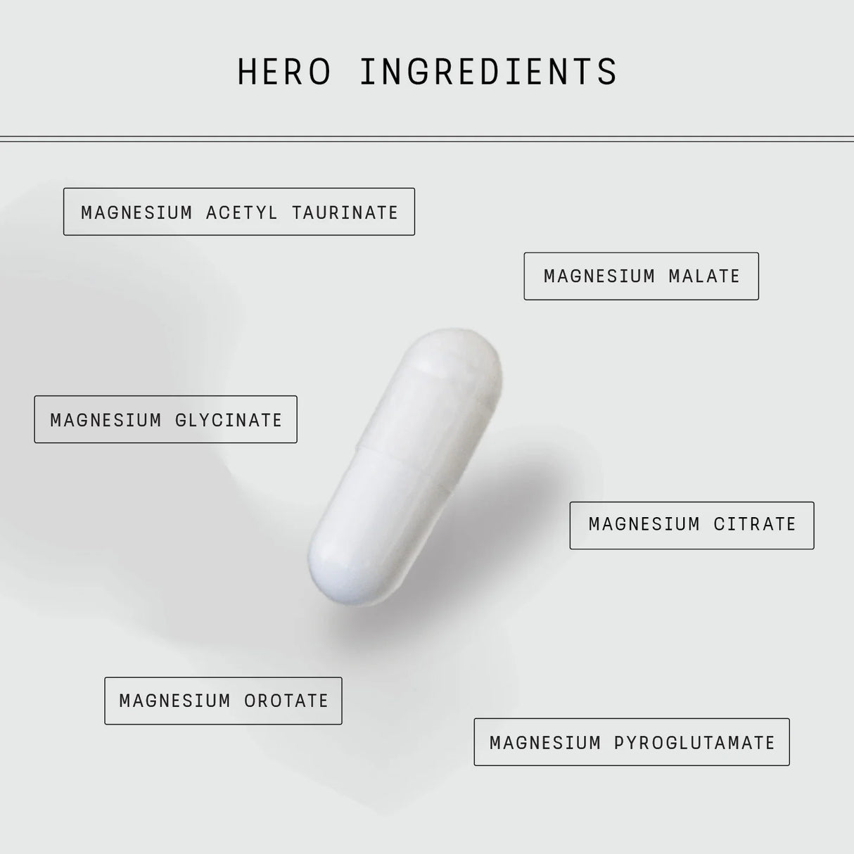 Switch Nutrition Multi-Mag Perform Caps 120 Caps