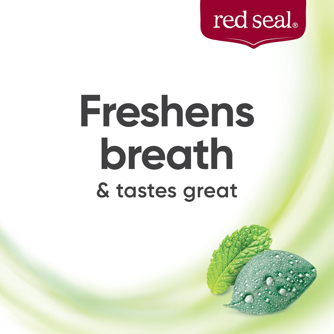 Red Seal Herbal Fresh Toothpaste 100g