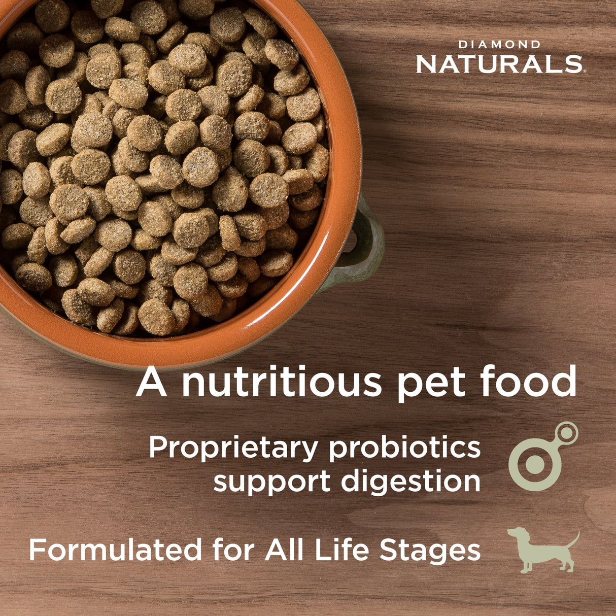 Diamond Naturals Salmon & Potato Skin & Coat Dry Dog Food 2kg