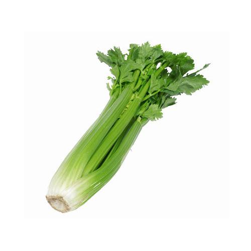 Organic Celery Whole Bunch old