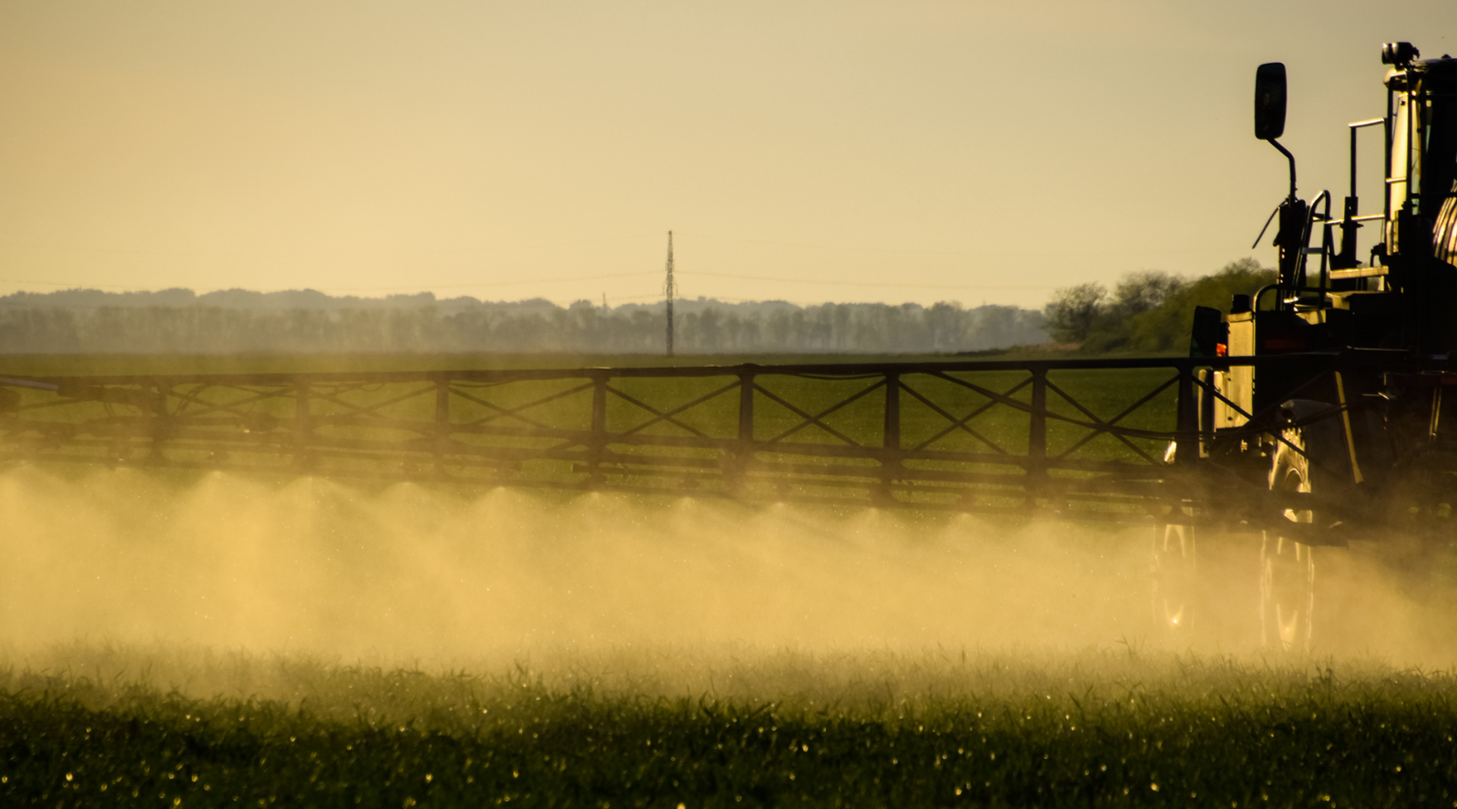 Pesticides Are in Your Body—But You Can Drop Them by 70% in Just 6 Days