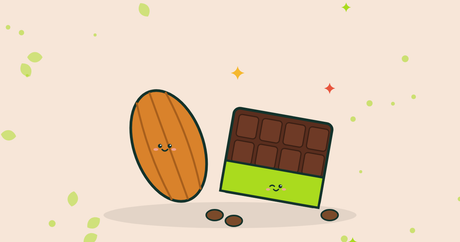 Illustration of a cacao pod and a chocolate bar