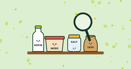 Illustration of kefir, miso, salt and teff on a shelf under a magnifying glass