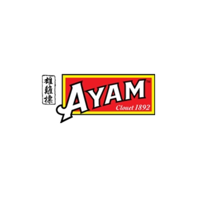 Ayam logo