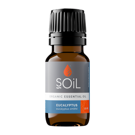 SOiL Organic Eucalyptus Smithii Essential Oil 10ml