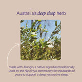 Roogenic Native Relaxation Tea 18tb