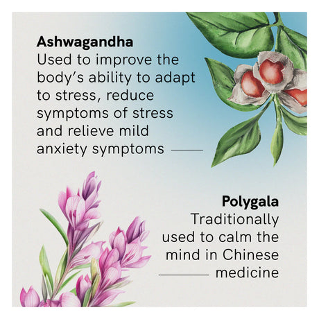 Fusion Health Stress Anxiety 30 Tablets