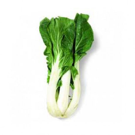 Organic Bok Choy Bunch